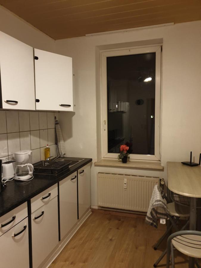 Fewo Nina 3 - Monteurwohnung Weißenfels エクステリア 写真