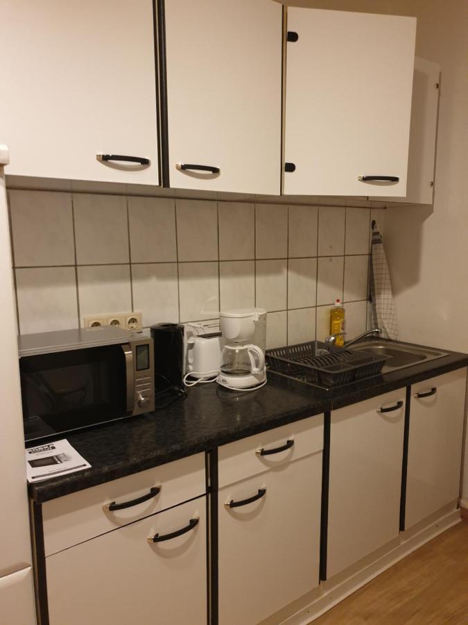 Fewo Nina 3 - Monteurwohnung Weißenfels エクステリア 写真